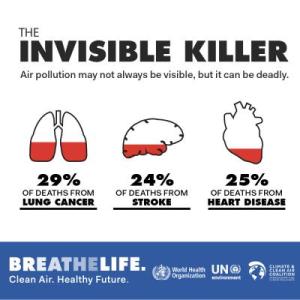 BreatheLife 2030 Infographic 01